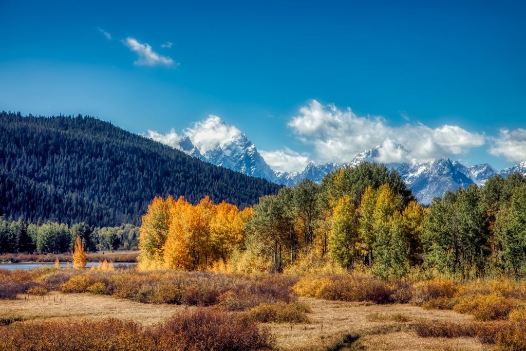 grand-teton-national-park-4027204_1920