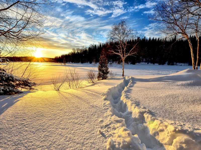 winter-landscape-636634_1920