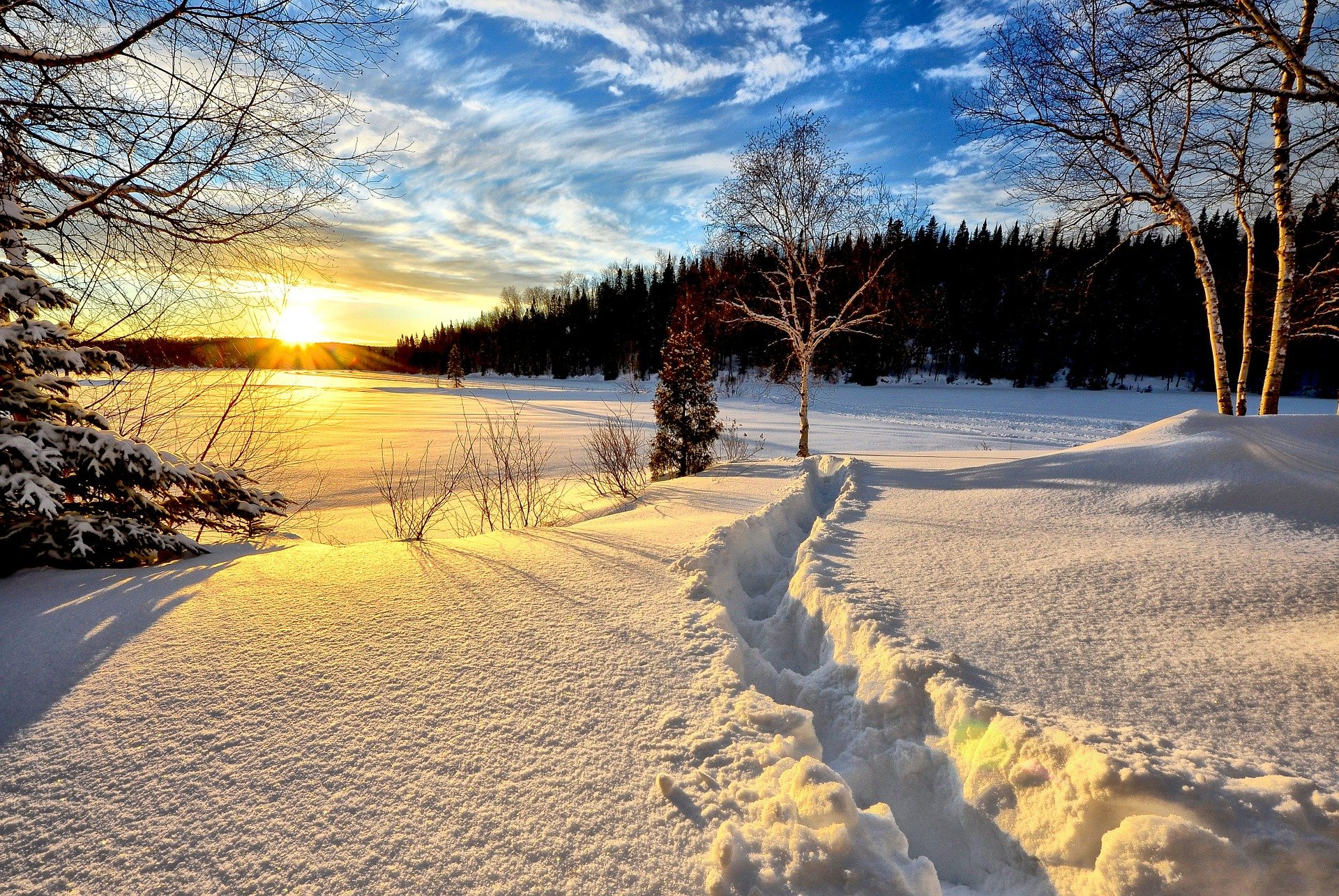 winter-landscape-636634_1920